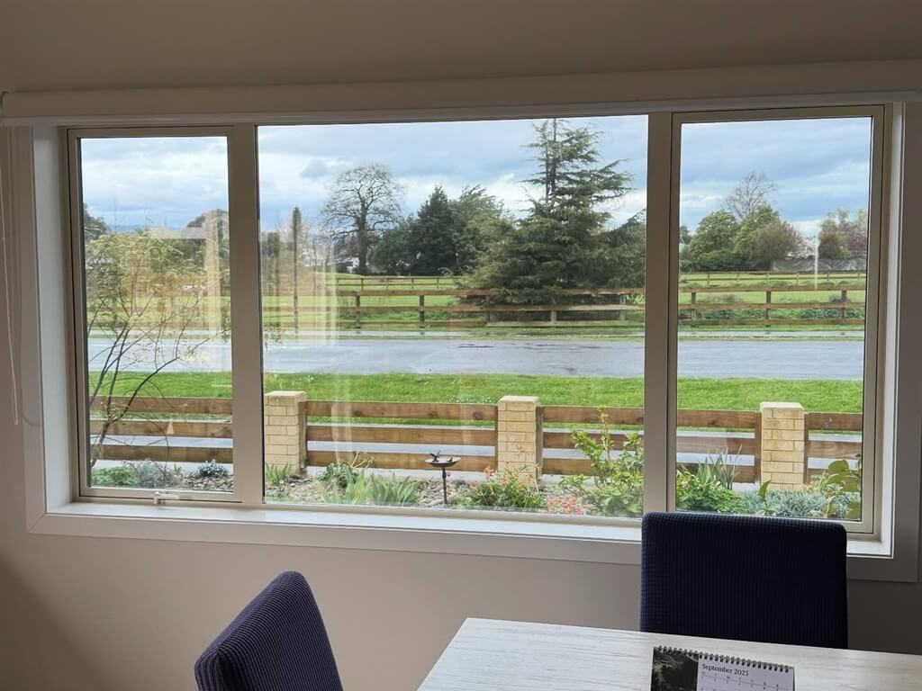 privacy window film wellington