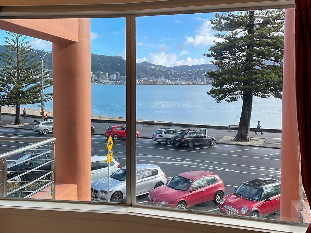 privacy window film wellington